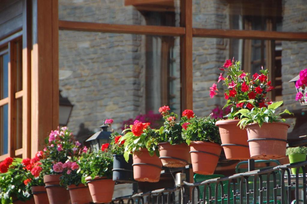 Hotel Roya Еспот Екстер'єр фото